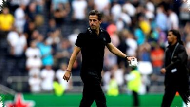 Fulham Bersaing Ketat dengan Wolfsburg dan Betis untuk Dapatkan Bintang Sepak Bola Irlandia