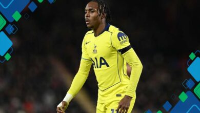 Tel Dorong Keluar Dini Spurs: Strategi dan Dampaknya bagi Tim Liga Inggris