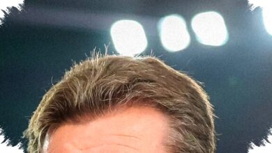 Resmi: Dieter Hecking Kembali Pimpin Wolfsburg sebagai Pelatih Kepala Baru