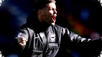 Bayer Leverkusen Tertarik Gaet Pelatih Brighton Hurzeler untuk Perkuat Tim