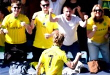 Norwich Hentikan Langkah Millwall, Harapan Promosi Otomatis Lions Terguncang