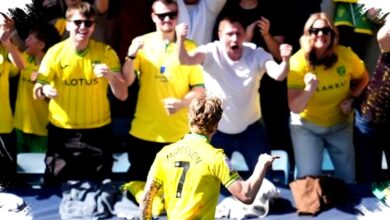 Norwich Hentikan Langkah Millwall, Harapan Promosi Otomatis Lions Terguncang