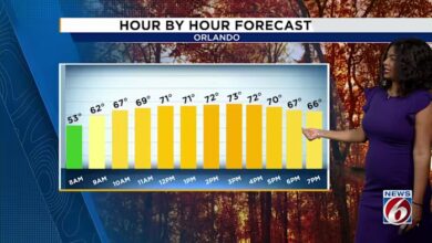 Milder Temperatures Return Across Region While Strong Gusty Winds Continue to Blow