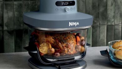Why the Ninja Crispi Pro Air Fryer Is a Top Gift Choice for Dads This Year