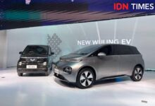 5 Top Electric Cars for Gen Z: Check Out Wuling, BYD, and Other Best Picks for Young Drivers