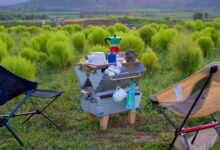 8 Best Destinations for a Comfortable Nature Getaway Near You