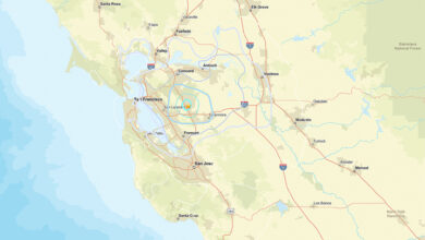 Bay Area Earthquake Flare-Up Persists Into Monday Afternoon, Residents Remain Alert