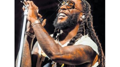 Burna Boy’s Denver Concert Highlights Fan Influence Across Stage, Screen, and Social Media