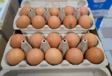 California Egg Recall Linked to 63 Illnesses, 13 Hospitalizations, Officials Report