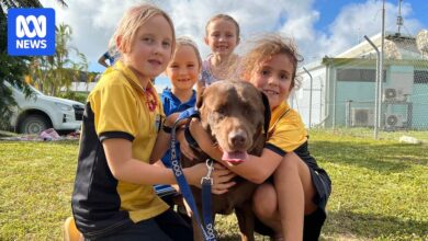 Christmas Island’s Last Dog Finds New Home and Support from Remote Community