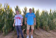 Dale Murphy Hall of Fame Campaign Gains Momentum Among Fans Advocating Baseball Legacy