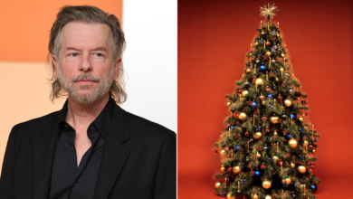 David Spade Criticizes Mall for 'Consciously Avoiding' Christmas at Tree-Lighting Event