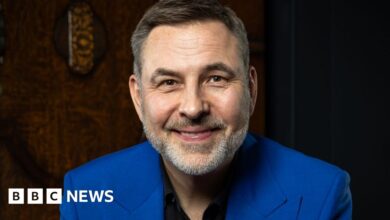 David Walliams Dropped by HarperCollins: Publisher Ends Partnership Amid Controversy