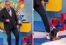 Drew Carey Ends Segment Abruptly Following Unexpected Show Incident