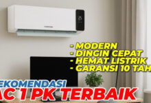 Efficient 1 PK AC Model That Keeps Monthly Electricity Bills Surprisingly Low