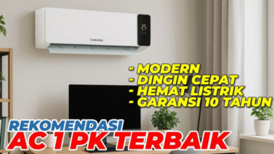 Efficient 1 PK AC Model That Keeps Monthly Electricity Bills Surprisingly Low