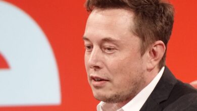 Elon Musk Claims Living on $1 Daily with Hot Dogs, Peppers Shows Survival Ease in America