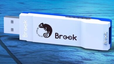 Experience Smoother Gameplay: Brook Wingman FGC VX Set to Debut Locally Soon