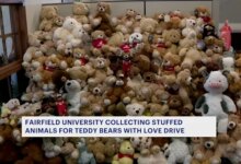 Fairfield University Launches Annual Teddy Bears with Love Drive, Requests Community Donations
