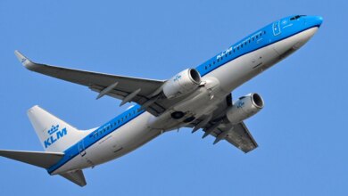 Family Files Lawsuit Against Delta and KLM After Bedbug Attack During Flight