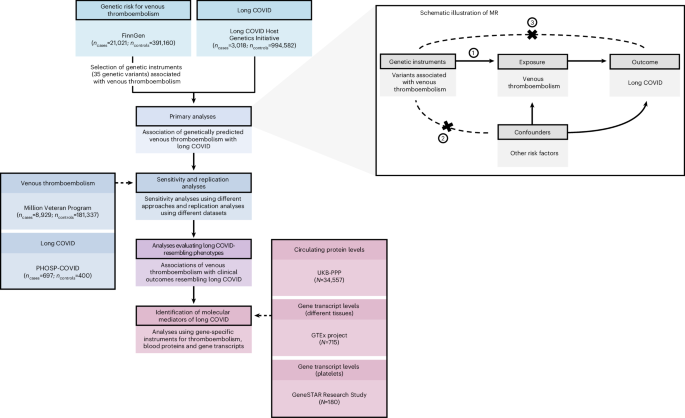 Genetic Study Links Thromboembolism to Long COVID Pathogenesis in European Ancestry Patients
