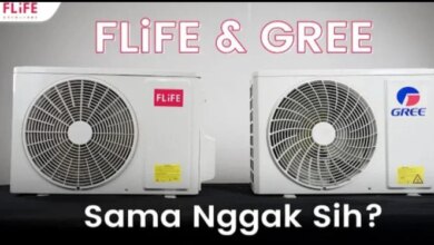Gree vs FM Life: Which Half PK AC Is More Energy Efficient for Boarding Houses?