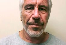 House Democrats Release Photos and Video from Epstein’s Private Island in New Evidence Reveal