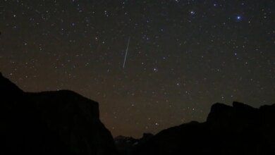 How to Watch the Geminids Meteor Shower: Best Times and Viewing Tips for Peak Activity