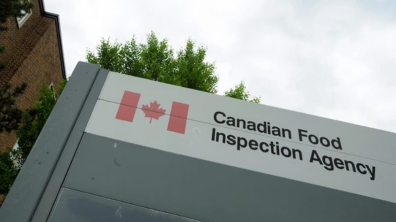 Investigation Launched After CFIA Confirms Avian Flu Case in TNRD Region