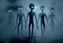 Joe Rogan Foresees Americans' Reaction to UFO Disclosure Using Three Haunting Words