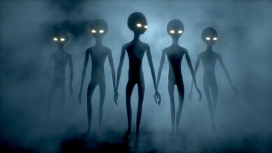 Joe Rogan Foresees Americans' Reaction to UFO Disclosure Using Three Haunting Words