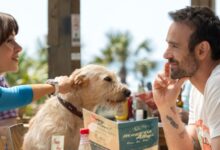 Merv Movie Review and Summary: Comprehensive Analysis of the Latest Thriller Film