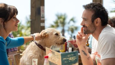 Merv Movie Review and Summary: Comprehensive Analysis of the Latest Thriller Film