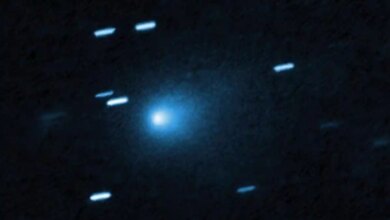 Rare Comet 31/Atlas Sighting Explained: Scientists Clarify Origins and Dispel Alien Rumors