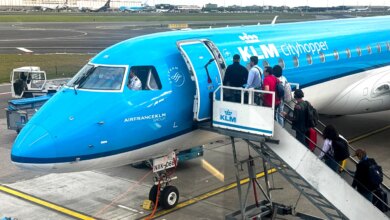 Rat Spotted on KLM Plane Causes Flight Cancellation Over Safety Concerns