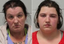 Rebecca Park's Fiancé Allegedly Had Affair With Her Mother and Sister Before Murder Case