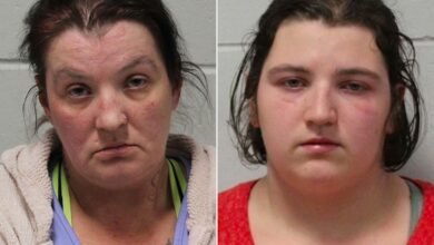 Rebecca Park's Fiancé Allegedly Had Affair With Her Mother and Sister Before Murder Case