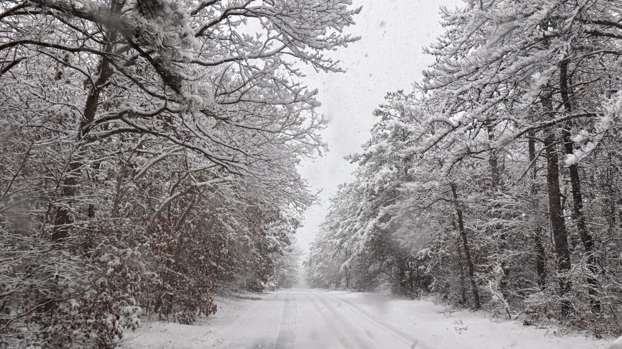 Snowfall Hits Long Island; Slick Roads Cause Major Delays at LaGuardia and JFK Airports