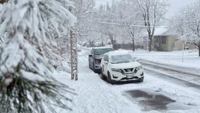 Snowfall Warning and Wind Statement Issued for Eastern Ontario Amid Severe Weather Conditions