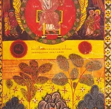 Sunday Reflection Insights by Canon Robin Gibbons: Key Messages for Late November Weekend