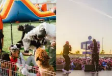 TDE’s Festive Benefit Show Draws Huge Crowd, Featuring Kendrick Lamar and SZA, Raises Millions