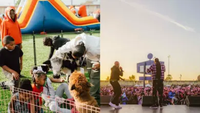 TDE’s Festive Benefit Show Draws Huge Crowd, Featuring Kendrick Lamar and SZA, Raises Millions