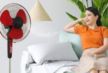 Top 10 Durable Fan Brands: Best Long-Lasting Recommendations for Your Home and Office