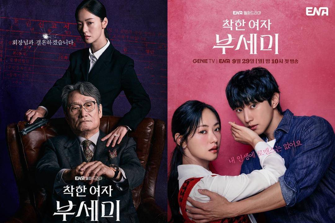 Top 10 Must-Watch K-Dramas Starring Ms. Incognito Cast: Drama Recommendations for Fans
