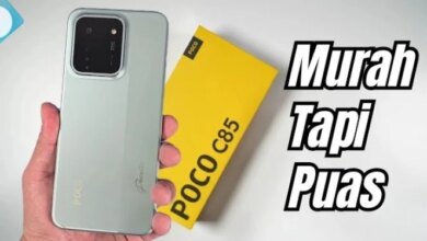 Top Affordable Smartphones with 8GB RAM and 256GB Storage You Can Buy Now