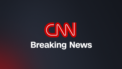 US Forces Reportedly Launch Attacks on ISIS Militants in West Africa Region