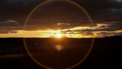 Winter Solstice Nears: Key Facts About the Shortest Day in the Northern Hemisphere