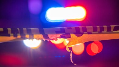 Zoo Miami Evacuated Following Bomb Threat, Sheriff’s Office Confirms Security Response