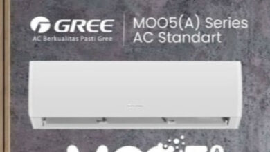 Affordable Gree Inverter AC Proves High Efficiency with Impressive 4-Star Energy Rating