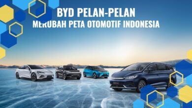 How BYD Is Transforming the Electric Vehicle Market and Shaping Industry Competition